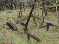 once ravaged by gold mining the foundations of the mine stamper slowly disappear into the bush