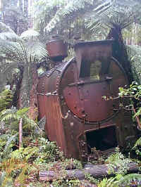 60 years later the steam engine lies silently amongst the forest it once cut