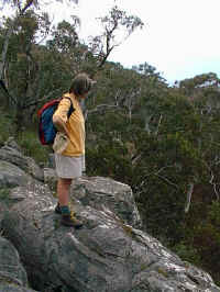 Granite rocks provide a lookout over the Ironbark gorge