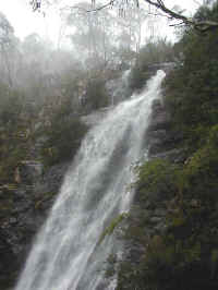 on this wet day .. the falls were roaring with water