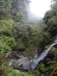 the route to Mt Burrowa follows the Bluff falls track