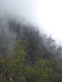 after an hour you might see the Car park from Campbells lookout