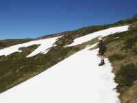in early November you may even find the remnant of a heavy winter snow on the summit of Mt Howitt