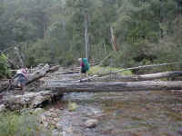 this group found a log to cross the Wonnangatta river