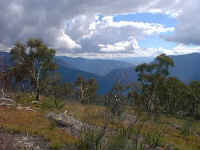 From Mt Beth on the McMillan track,  the Moroka river passes to the left of Snowy Bluff