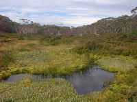 a beautiful meadow of Richea heath and little lakes forms a difficult barrier for walkers