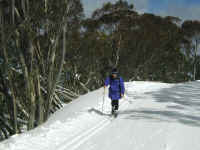 when the snow is deep and the sun is out .. the trail to Dinner Plain is great fun