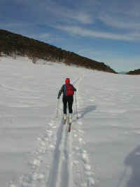 skiing cross country, it is usually easier to stay in somebody else's tracks