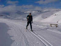 the diagonal stride in parallel ski tracks