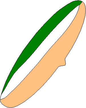A very simple drawing of New Zealand