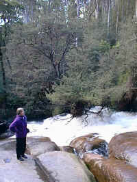 water smoothed granite of the Murrindindi cascades