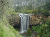 The Trentham falls is a geological oddity with its larva filled valley