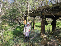 This timber trestle bridge once carried trains from Woodend to Daylesford