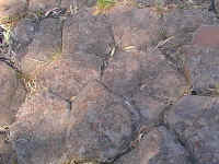 Giant's stepping stones, this type of patterned formation is seen all around the world