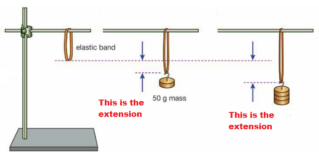 Practical Class - Extension of an Elastic Band